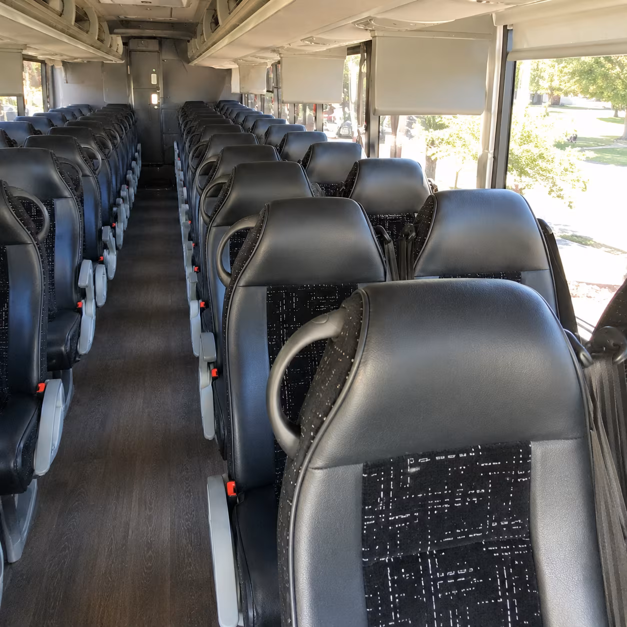 Encinitas School Event Transportation party bus exterior