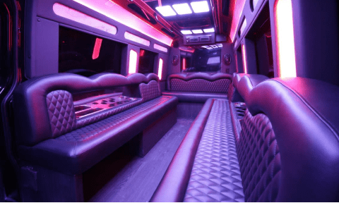 El Cajon 14 Passenger Sprinter Bus Interior