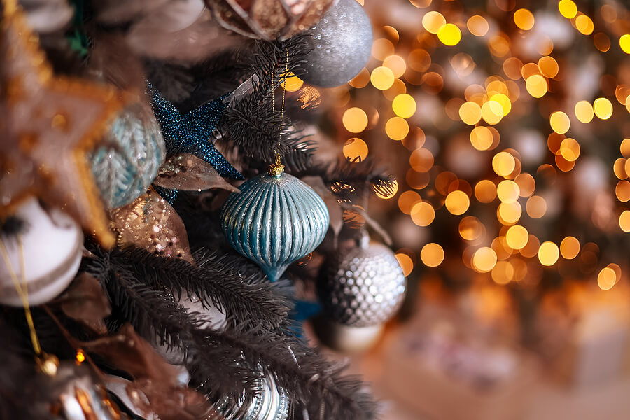Celebrate the Holidays in Encinitas